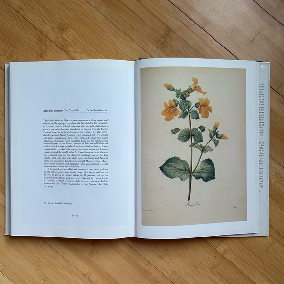 REDOUTE'S FAIREST FLOWERS (Hard Cover) Redoute, Pierre Joseph - Picture 9 of 12
